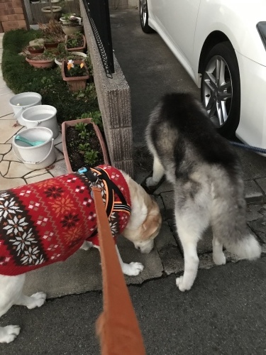 f0315081_22312042.jpeg