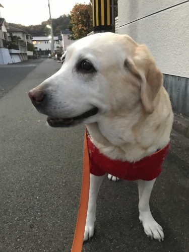 f0315081_22314754.jpeg