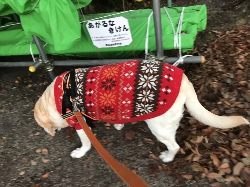 f0315081_22362972.jpeg