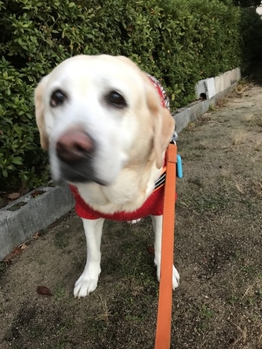 f0315081_22371667.jpeg