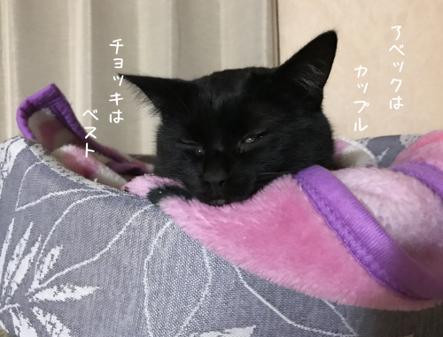 a0216583_23255749.png