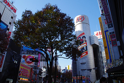 b0056983_20144400.jpg