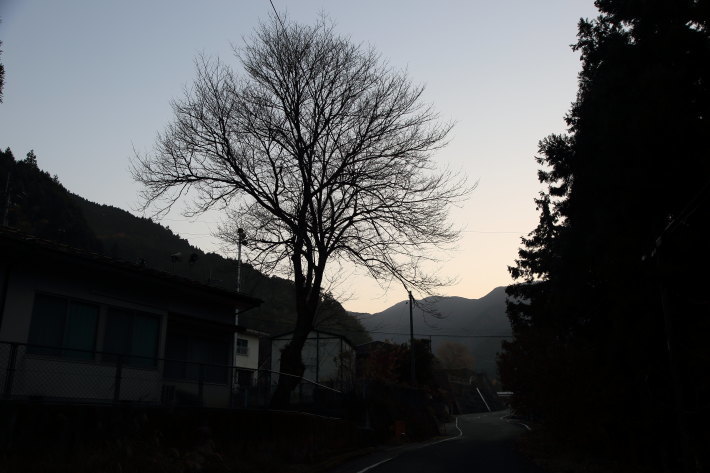 c0358784_23291258.jpg