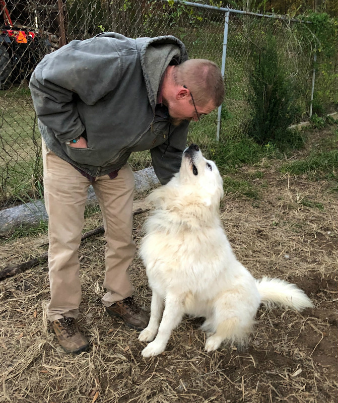 巨大化ピレネー犬体当たり密着 ワイルド暴れモード復活編 アメリカ南部ど田舎奮闘記