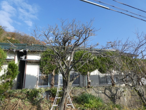 c0108198_17480812.jpg