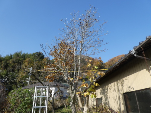 c0108198_17543908.jpg