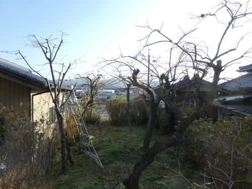 c0108198_17551500.jpg