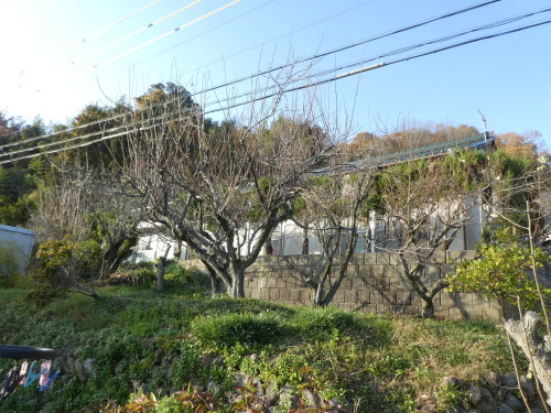 c0108198_17552573.jpg