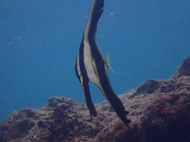 e0115199_15071637.jpg