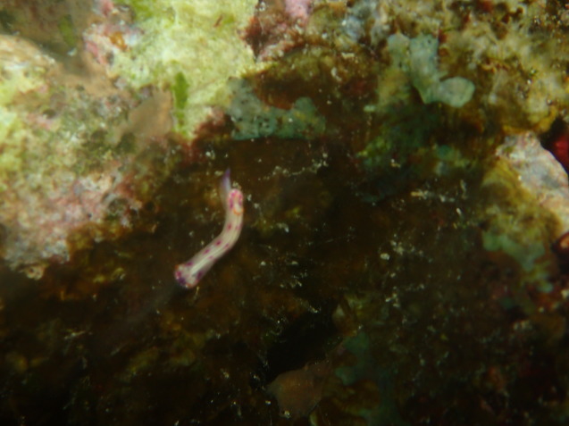 e0115199_18383015.jpg