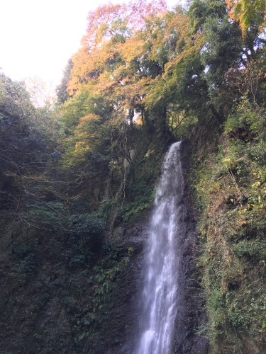 e0122100_10170884.jpg