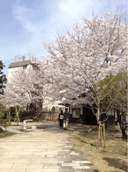 e0322201_09151309.gif