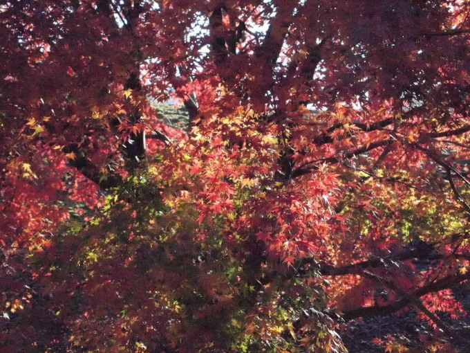 アクアラインを渡って････････その１_b0331802_20312700.jpg