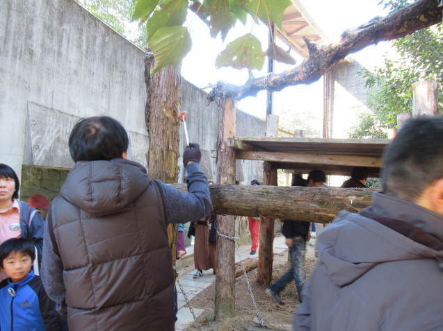 サポーターイベントで動物園の裏側お見せしちゃいました! その1_c0290504_10371503.jpg