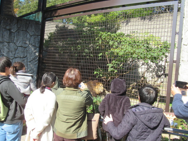 サポーターイベントで動物園の裏側お見せしちゃいました! その1_c0290504_10375215.jpg