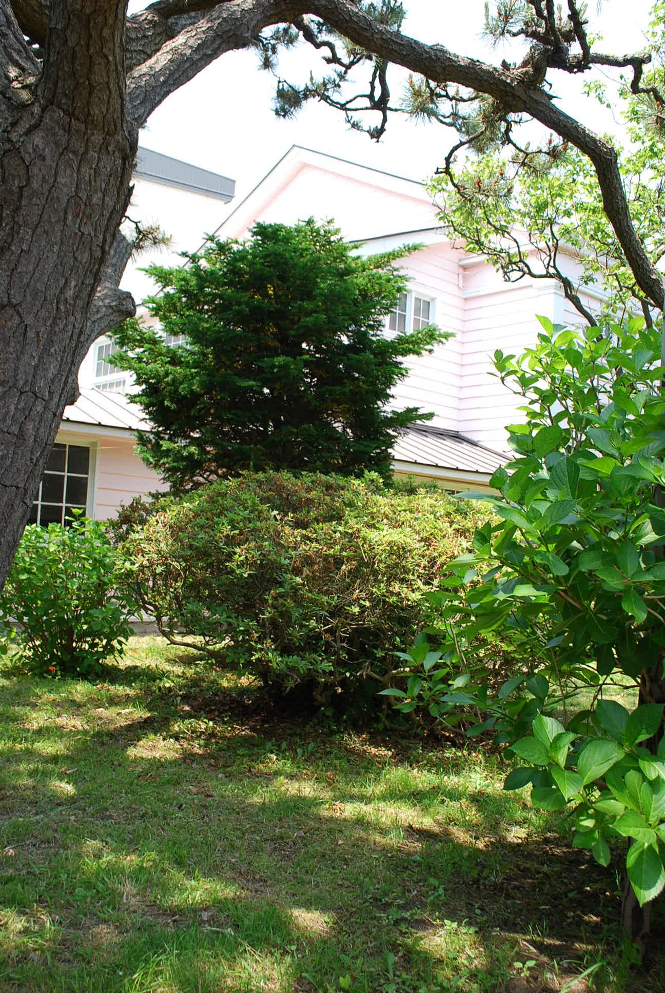 遺愛女子中学校・高等学校講堂(函館の建築再見)_f0142606_07481589.jpg