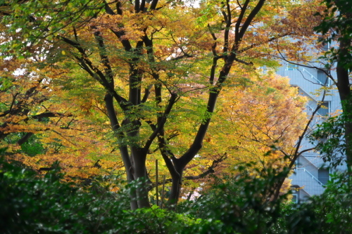 a0263109_12400641.jpg