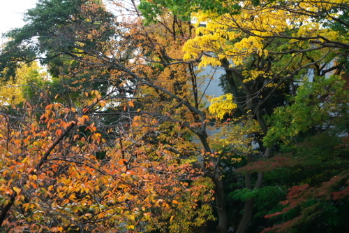 a0263109_12400662.jpg