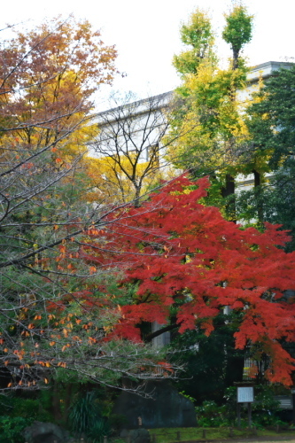 a0263109_12400760.jpg