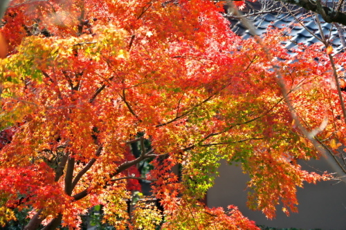 a0263109_22504366.jpg