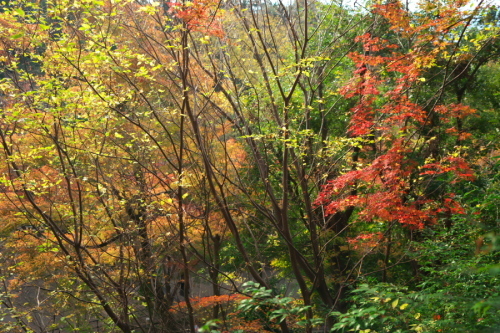 a0263109_22541647.jpg