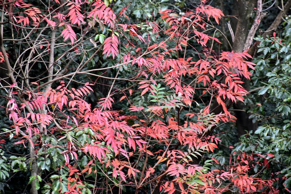 f0212511_11260989.jpg