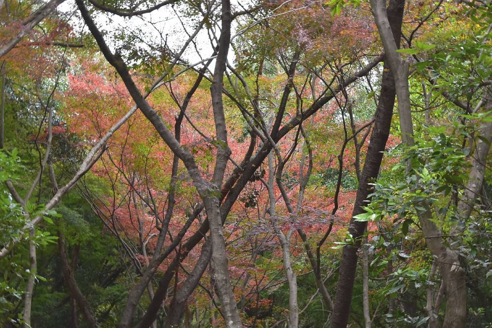f0212511_11263691.jpg