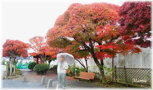 日田めぐり3_d0387712_16284832.jpg