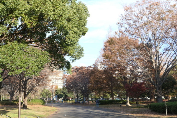 f0369014_19492773.jpg