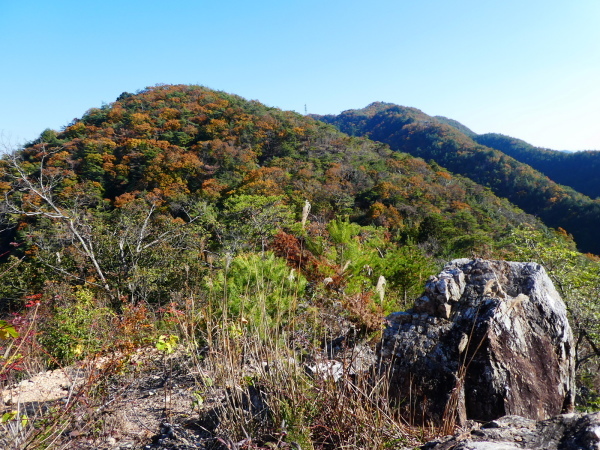 登山者に人気の山　明王山から大岩見晴台に向かう　　登頂編_d0170615_19052878.jpg