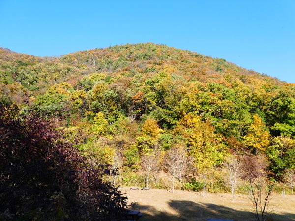 登山者に人気の山　明王山から大岩見晴台に向かう　　登頂編_d0170615_19063866.jpg