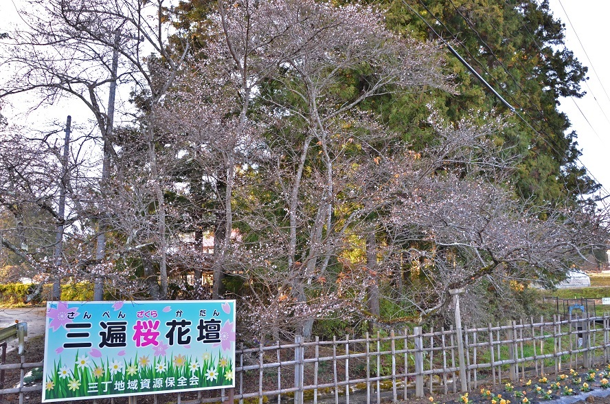 e0349817_16552465.jpg