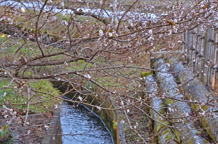 e0349817_16560337.jpg
