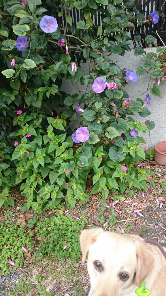 b0339522_13145309.jpg