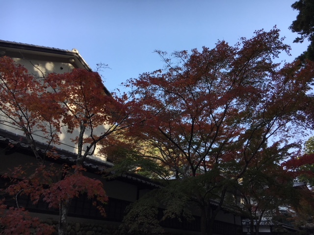 a0265223_17021136.jpg
