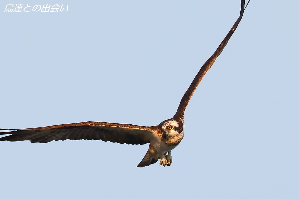 e0139623_20251922.jpg