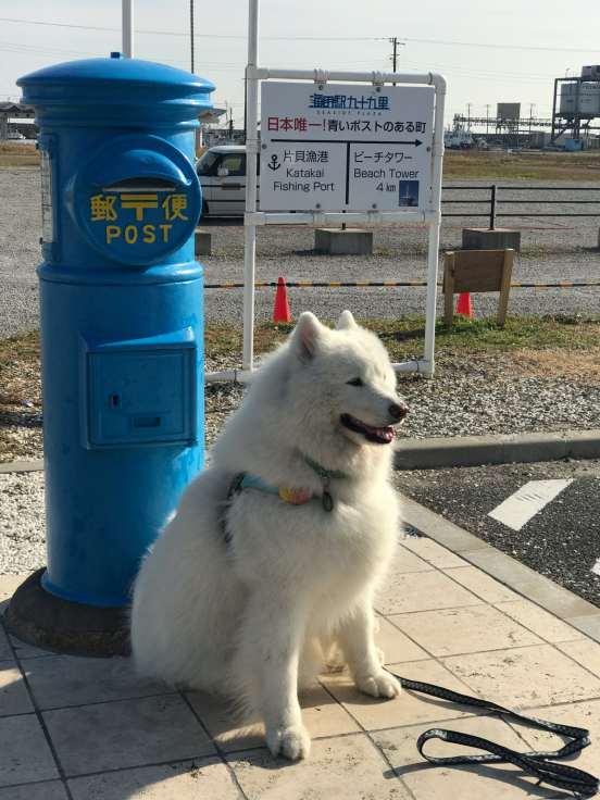 ちーばへの旅_f0234023_18175866.jpg