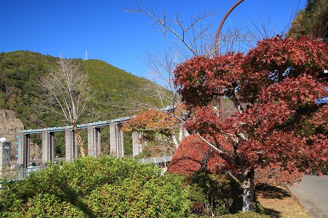 瀞峡への旅(その2)(撮影:11月18日)_e0321325_20102171.jpg