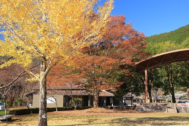 瀞峡への旅(その2)(撮影:11月18日)_e0321325_20160937.jpg