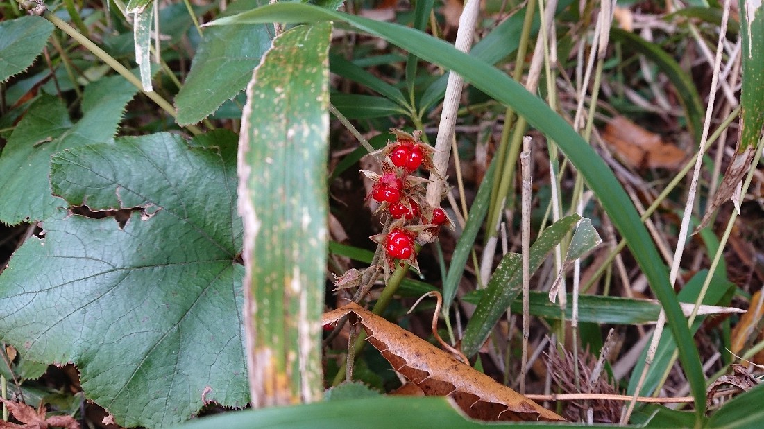b0098228_21460814.jpg