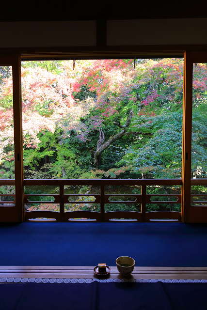 紅葉の京都2018 －萬年山眞如寺 かしきりもみじ（後編）－_b0169330_847783.jpg