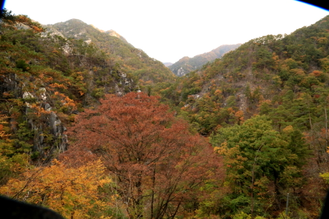 f0229832_22551486.jpg