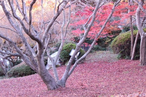 a0345833_21340494.jpg