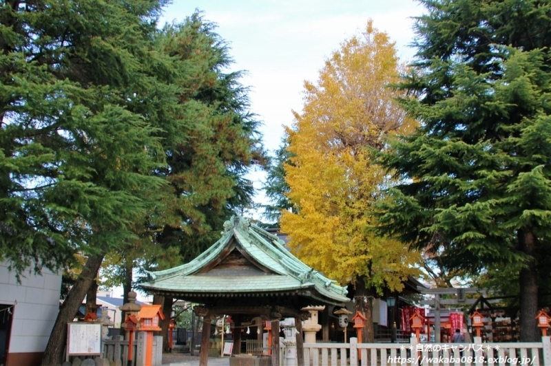 e0052135_14514979.jpg
