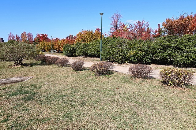 a0242438_20195901.jpg