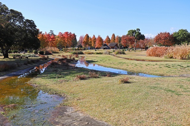 a0242438_20195977.jpg