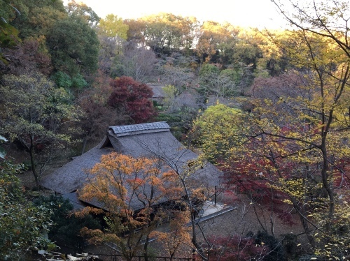 b0330040_00513751.jpeg