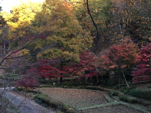 b0330040_00521205.jpeg