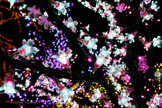c0319240_15454313.jpg