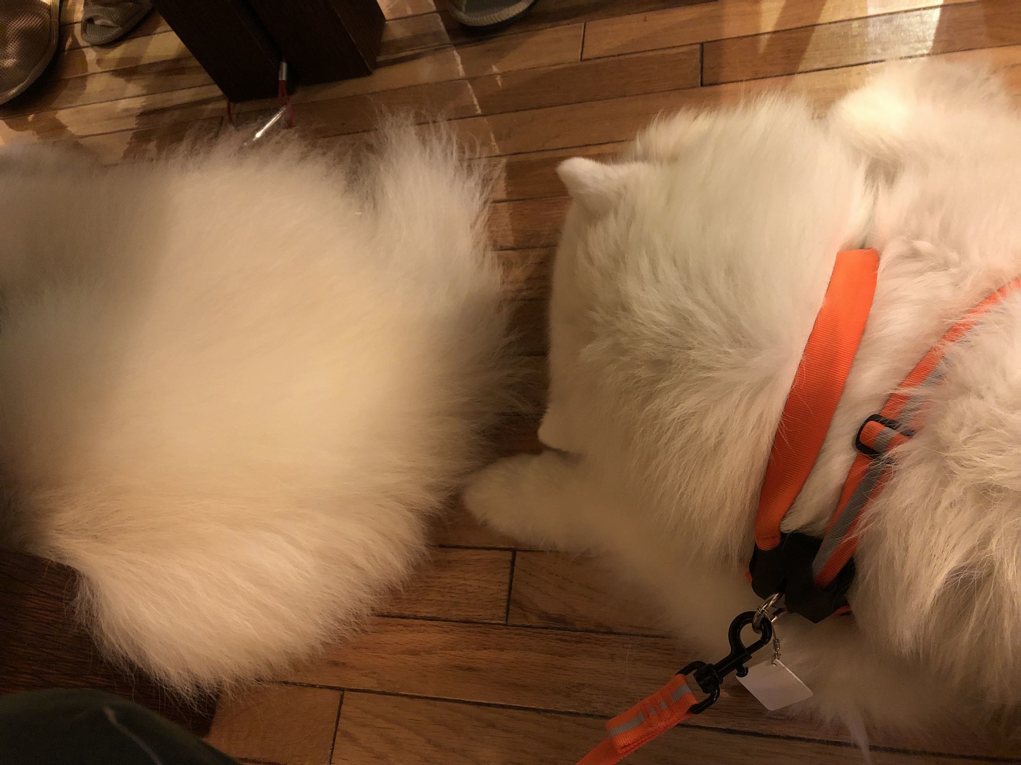 んまいもんシリーズ 2018年秋 みちのく旅行編_f0128542_02170189.jpg